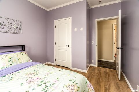 Tiny photo for 5673 Arctic Fox Drive, Carterville, IL 62918 (MLS # QC4269468)