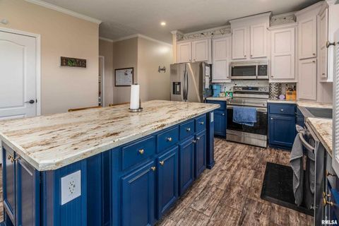 Tiny photo for 5673 Arctic Fox Drive, Carterville, IL 62918 (MLS # QC4269468)