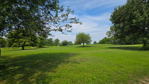 Tiny photo for 2530 S Pine Street, Centralia, IL 62801 (MLS # 12716047)