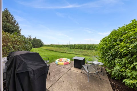 Tiny photo for 161 Willoughby Court #A, Yorkville, IL 60560 (MLS # 12748187)