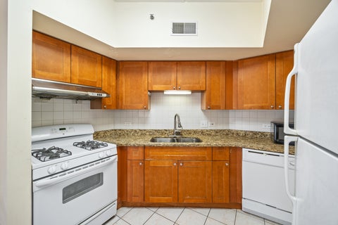 Tiny photo for 2322 S Canal Street #309, Chicago, IL 60616 (MLS # 12797211)