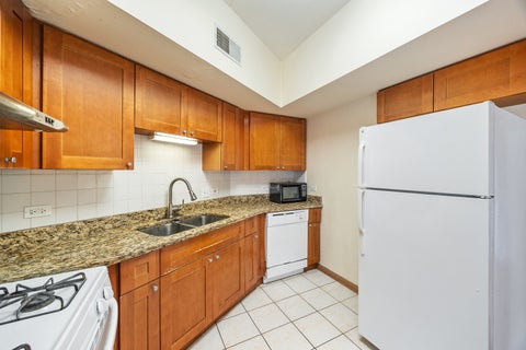 Tiny photo for 2322 S Canal Street #309, Chicago, IL 60616 (MLS # 12797211)