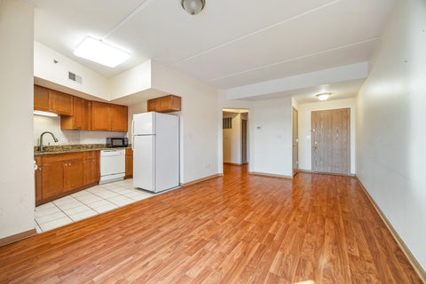 Tiny photo for 2322 S Canal Street #309, Chicago, IL 60616 (MLS # 12797211)