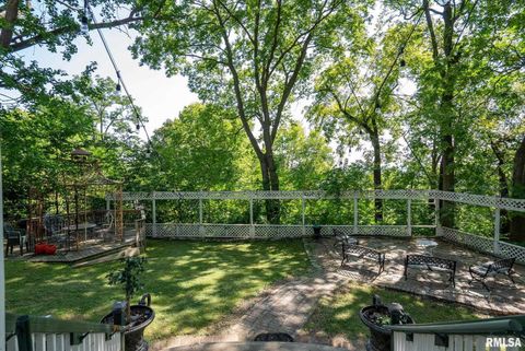 Tiny photo for 817 W 7TH Street, Davenport, IA 52802 (MLS # QC4267271)