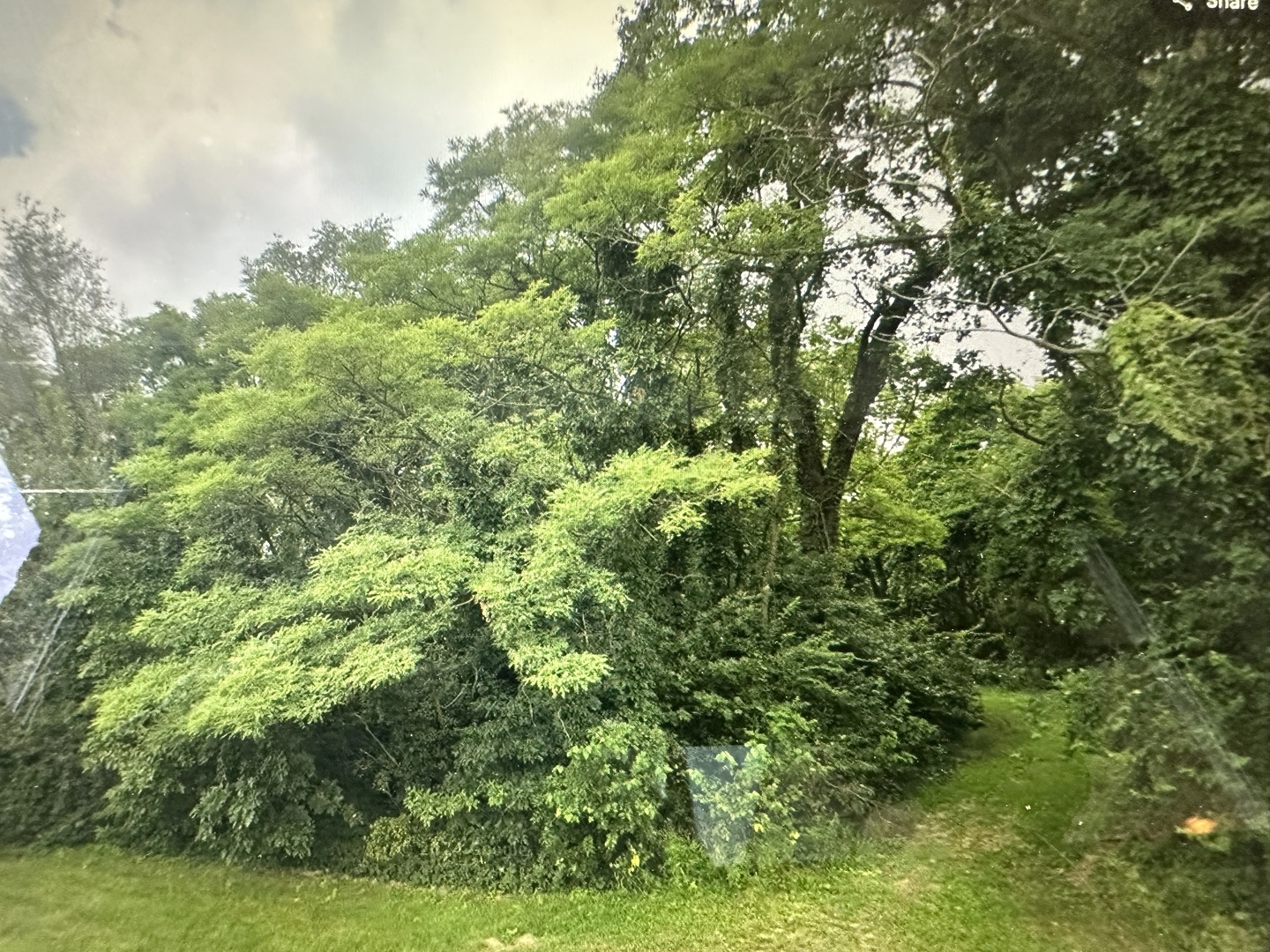 113 Prairie Drive
