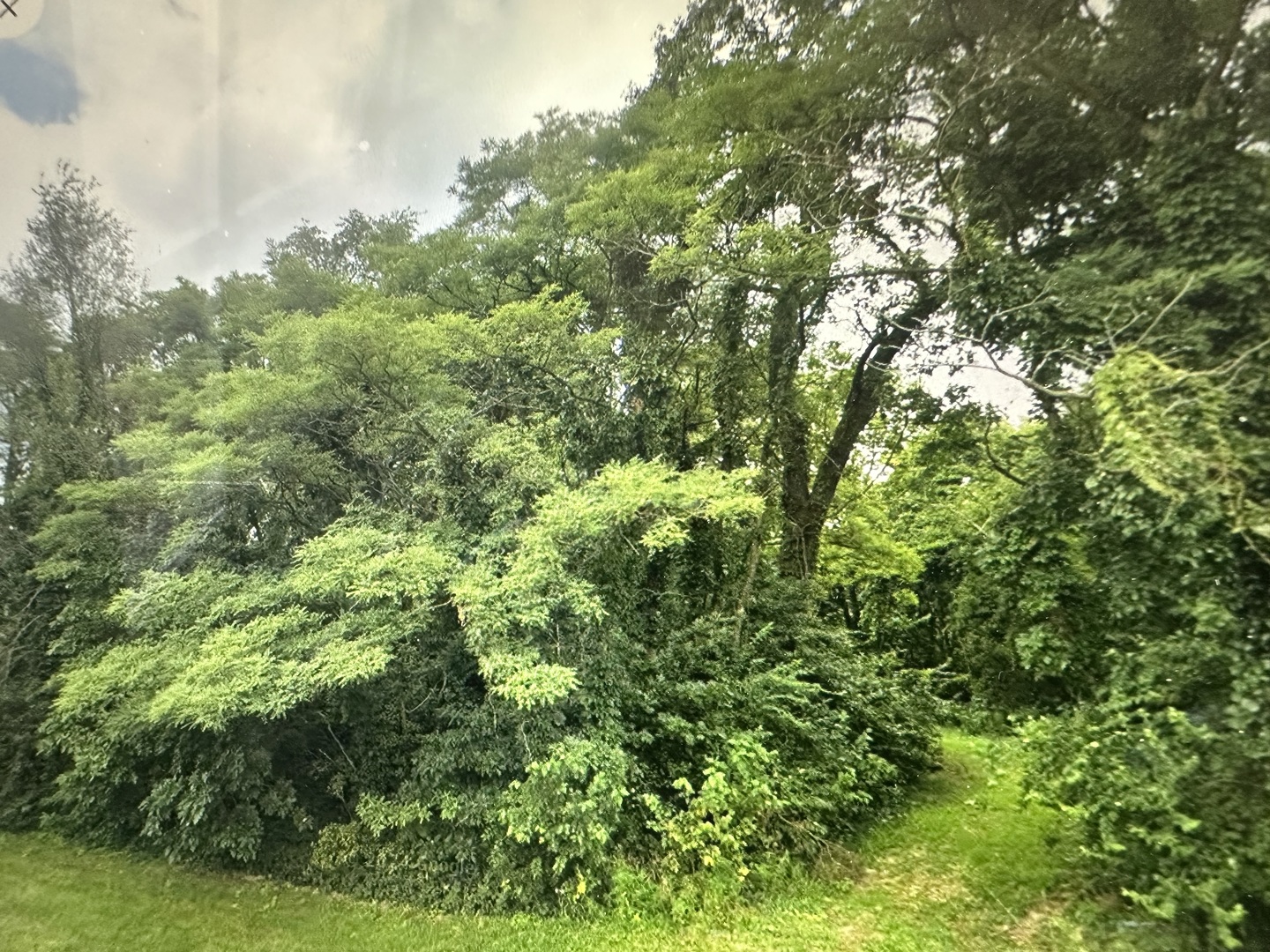 113 Prairie Drive