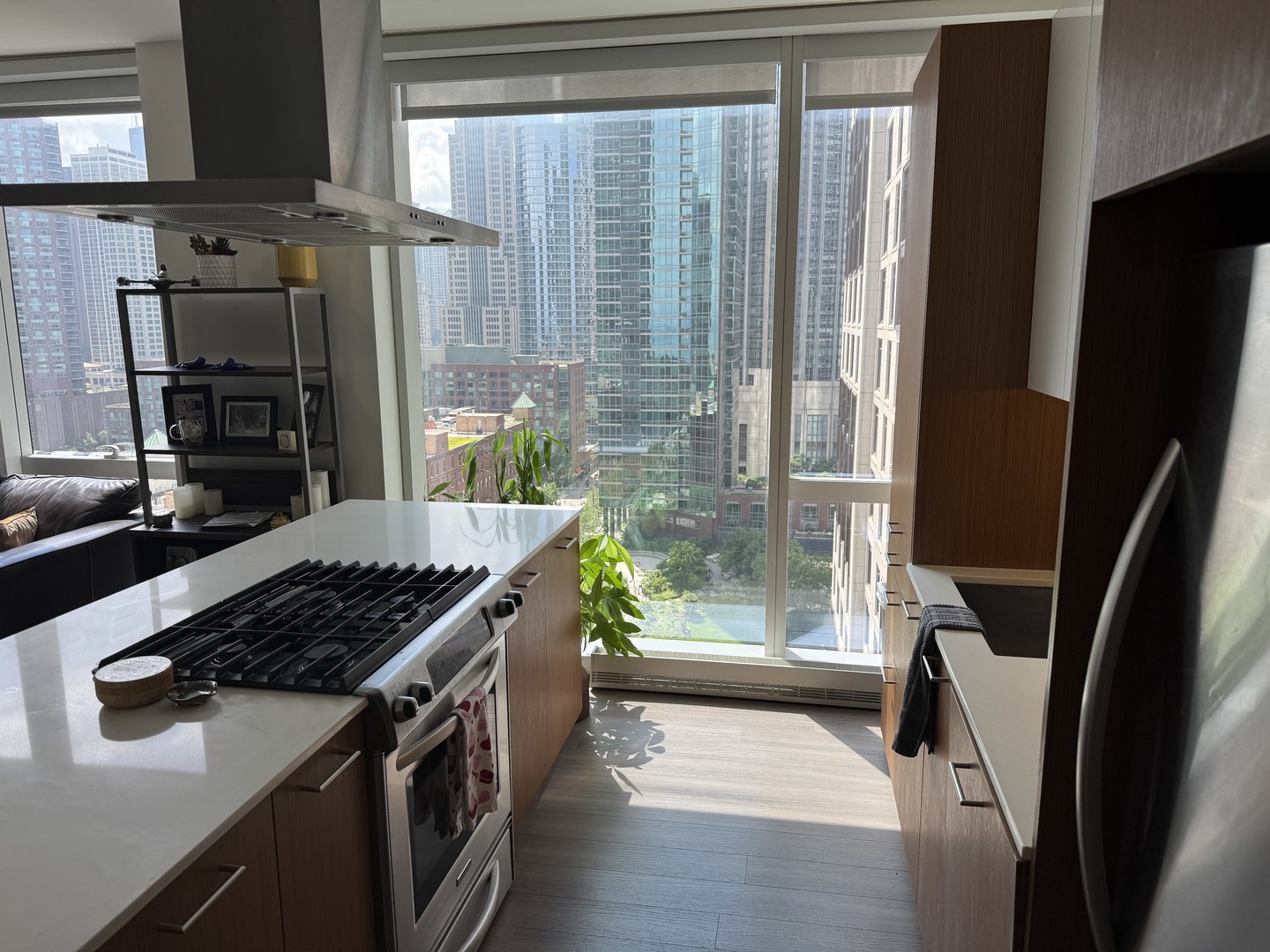 500 N Lake Shore Drive 1502