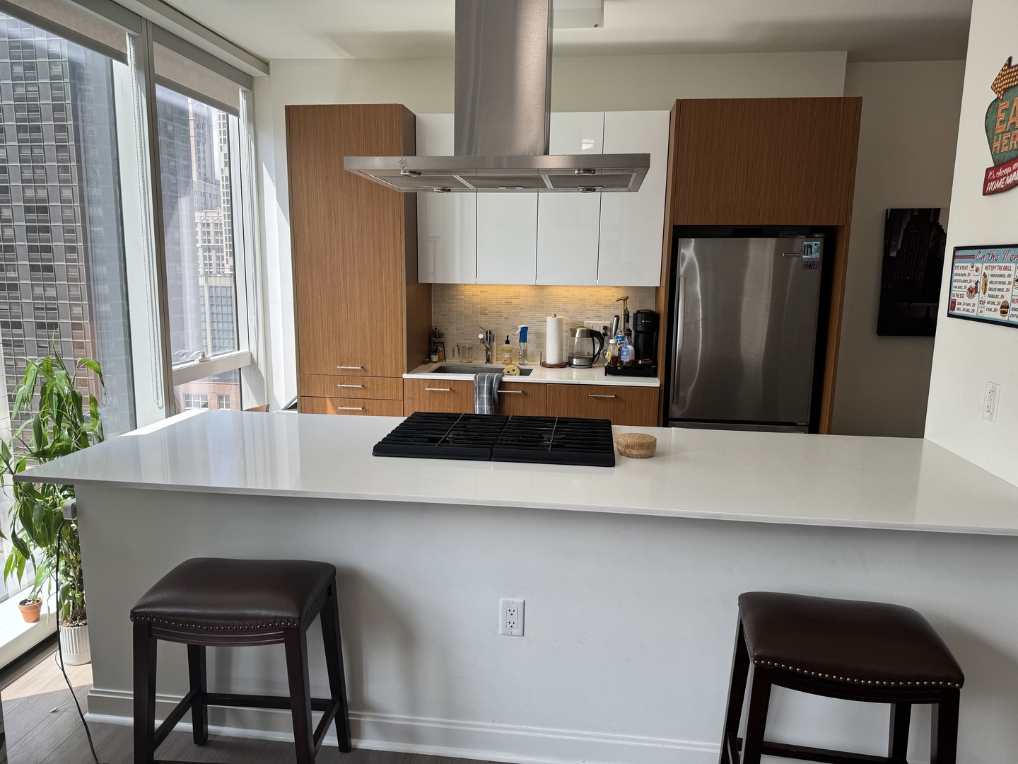 500 N Lake Shore Drive 1502