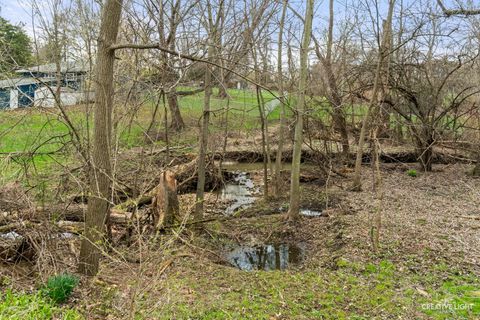 Tiny photo for 1005 Meadow Lane, Elgin, IL 60123 (MLS # 12605855)
