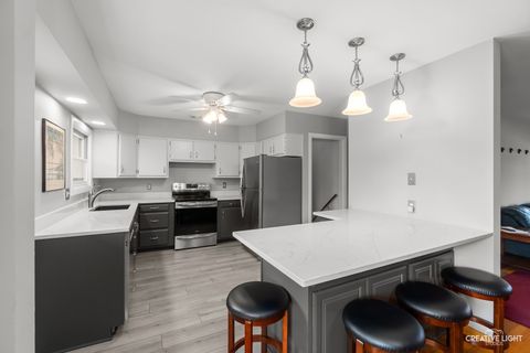 Tiny photo for 1005 Meadow Lane, Elgin, IL 60123 (MLS # 12605855)