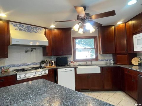 Tiny photo for 2479 NEW ERA Road, Murphysboro, IL 62966 (MLS # EB460146)