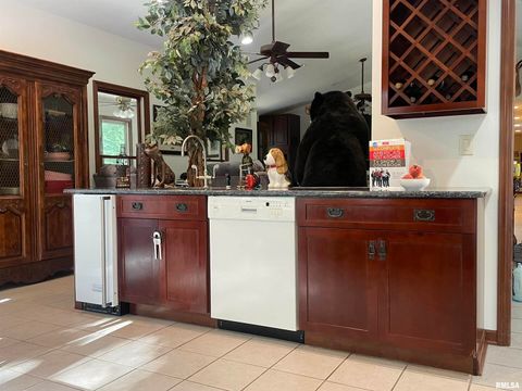 Tiny photo for 2479 NEW ERA Road, Murphysboro, IL 62966 (MLS # EB460146)