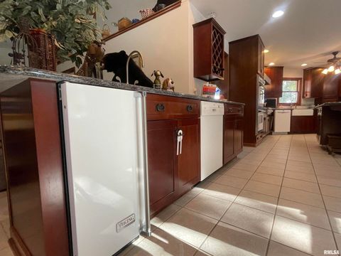 Tiny photo for 2479 NEW ERA Road, Murphysboro, IL 62966 (MLS # EB460146)