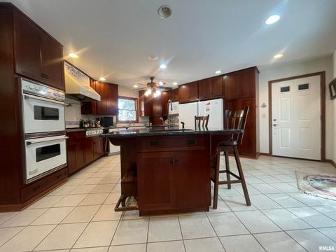 Tiny photo for 2479 NEW ERA Road, Murphysboro, IL 62966 (MLS # EB460146)