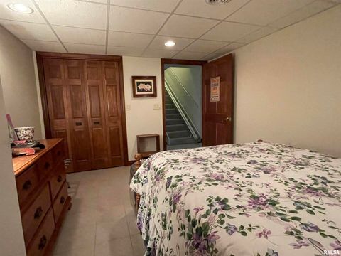 Tiny photo for 2479 NEW ERA Road, Murphysboro, IL 62966 (MLS # EB460146)