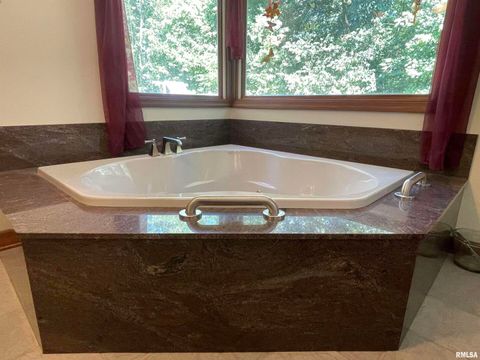 Tiny photo for 2479 NEW ERA Road, Murphysboro, IL 62966 (MLS # EB460146)