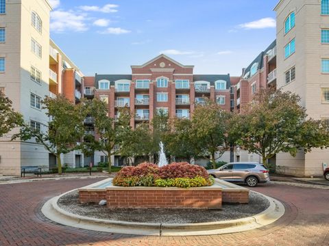 4811 N Olcott Avenue 307 Harwood Heights IL 60706