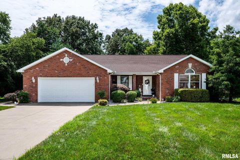 Photo of 805 New Day Way, Marion, IL 62959 (MLS # QC4264981)