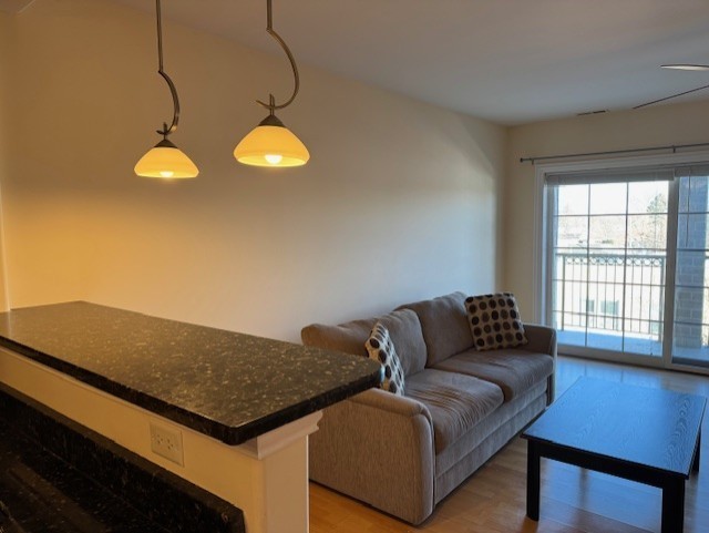 36 S Cass Avenue 2C