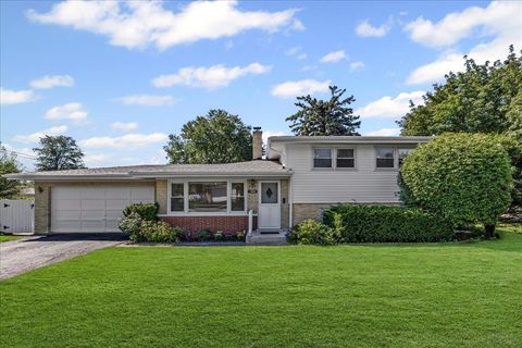1605 E Frederick Street Arlington Heights IL 60004