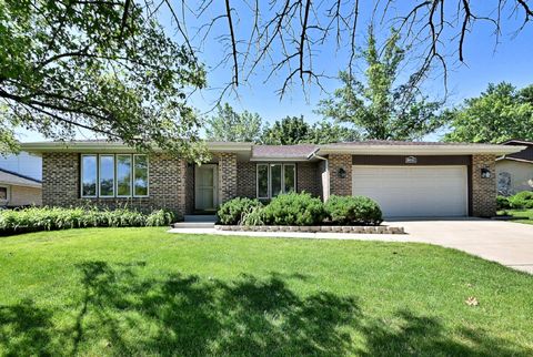Photo of 8931 Biloba Street, Orland Park, IL 60462 (MLS # 11966033)