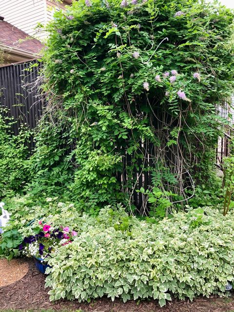 Tiny photo for 1160 Millview Drive, Batavia, IL 60510 (MLS # 12528197)