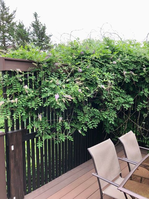 Tiny photo for 1160 Millview Drive, Batavia, IL 60510 (MLS # 12528197)