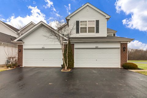 Tiny photo for 265 Wild Meadow Lane, Woodstock, IL 60098 (MLS # 12585229)
