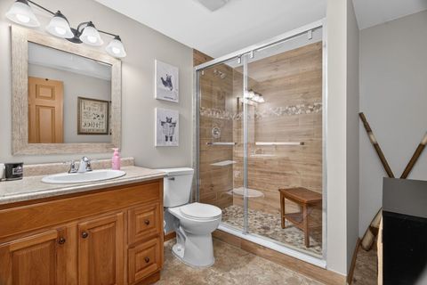 Tiny photo for 43 Hole In The Wall Court, Wilmington, IL 60481 (MLS # 12545329)