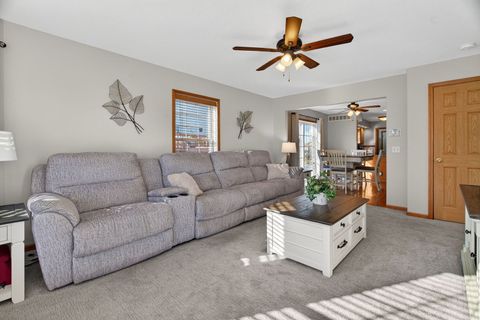 Tiny photo for 43 Hole In The Wall Court, Wilmington, IL 60481 (MLS # 12545329)