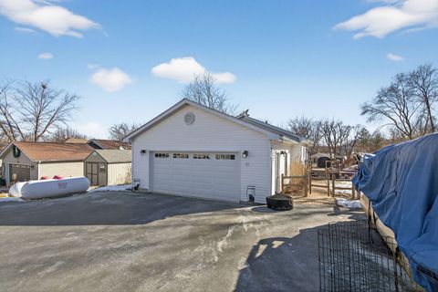 Tiny photo for 43 Hole In The Wall Court, Wilmington, IL 60481 (MLS # 12545329)
