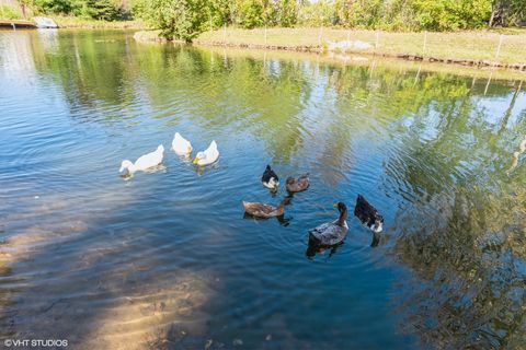 Tiny photo for 43 Hole In The Wall Court, Wilmington, IL 60481 (MLS # 12545329)