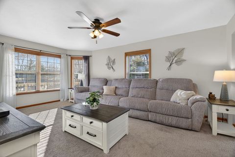 Tiny photo for 43 Hole In The Wall Court, Wilmington, IL 60481 (MLS # 12545329)