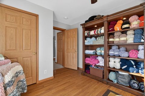 Tiny photo for 43 Hole In The Wall Court, Wilmington, IL 60481 (MLS # 12545329)