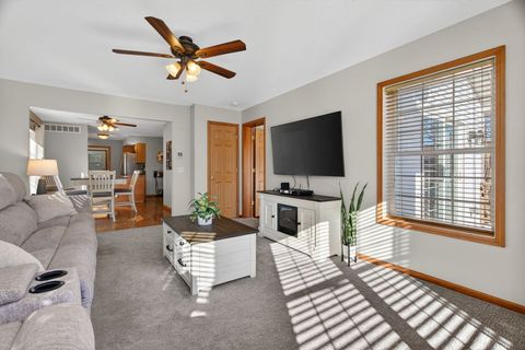 Tiny photo for 43 Hole In The Wall Court, Wilmington, IL 60481 (MLS # 12545329)