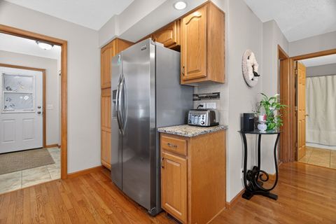 Tiny photo for 43 Hole In The Wall Court, Wilmington, IL 60481 (MLS # 12545329)