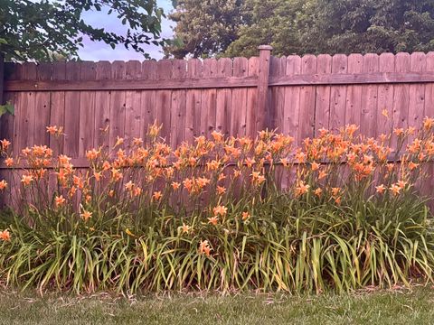 Tiny photo for 15201 Lavergne Avenue, Oak Forest, IL 60452 (MLS # 12560133)