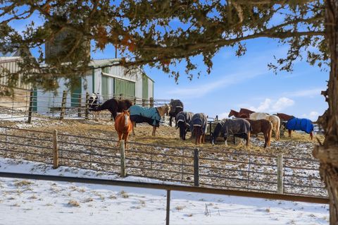 Tiny photo for Lemont, IL 60439 (MLS # 12549897)