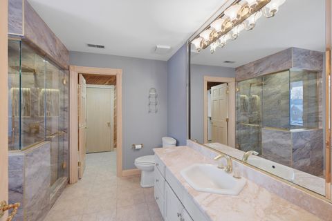 Tiny photo for Lemont, IL 60439 (MLS # 12549897)