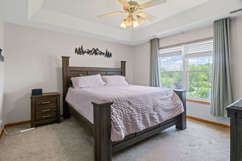 Tiny photo for 811 White Tail Bend, Manteno, IL 60950 (MLS # 12399603)