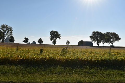 Tiny photo for 180 S Oak Street, El Paso, IL 61738 (MLS # 12467316)