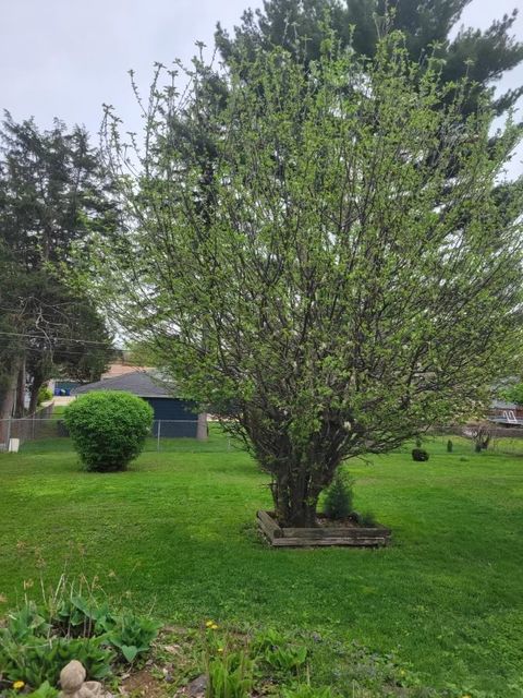 Tiny photo for 45 Concord Avenue, South Elgin, IL 60177 (MLS # 12628649)