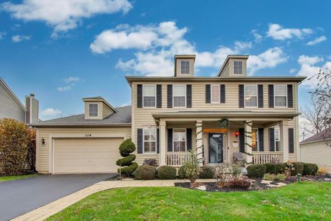 379 Fountain Avenue Elgin IL 60124