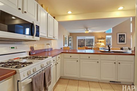 Tiny photo for 3117 River Birch Court, McHenry, IL 60051 (MLS # 12586178)