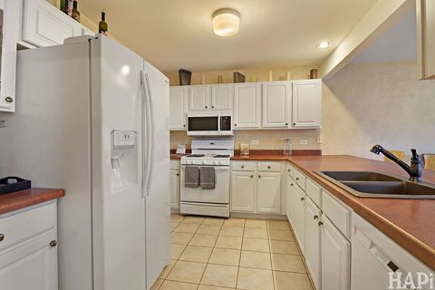 Tiny photo for 3117 River Birch Court, McHenry, IL 60051 (MLS # 12586178)