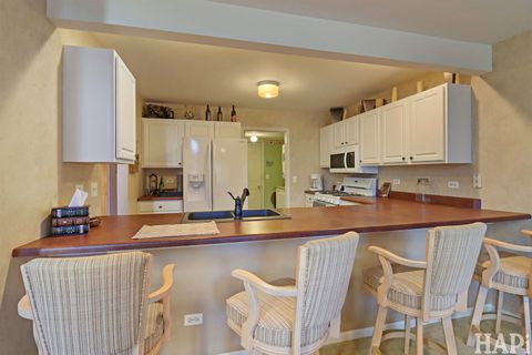 Tiny photo for 3117 River Birch Court, McHenry, IL 60051 (MLS # 12586178)