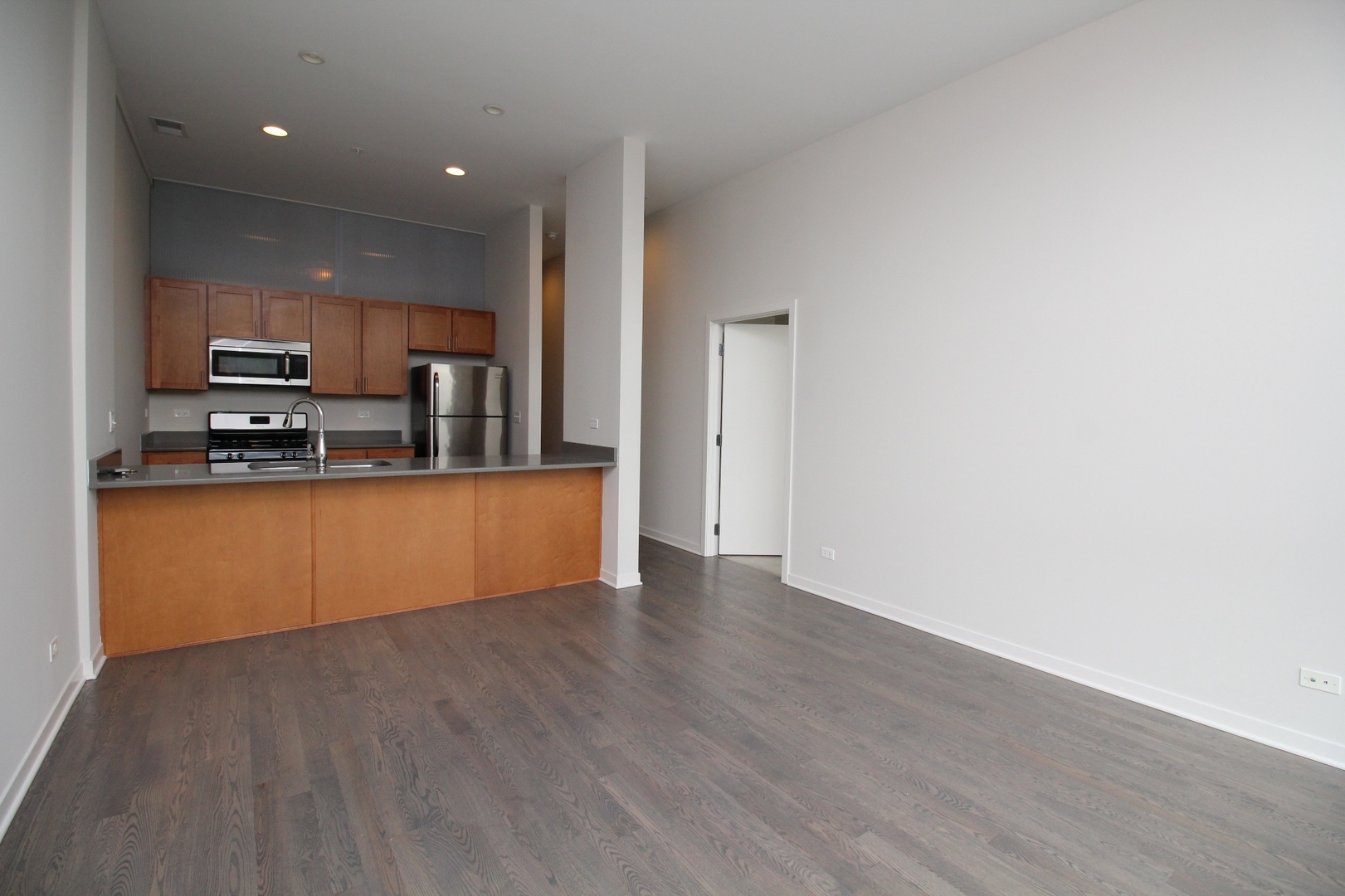 1540 W Fullerton Avenue 302