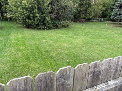 Tiny photo for 11418 S Avon Avenue, Alsip, IL 60803 (MLS # 12756029)