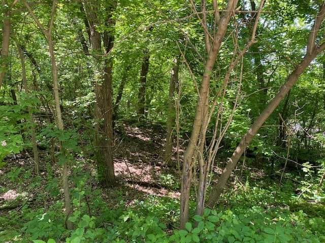 Lots 8 & 9 Ravine Drive