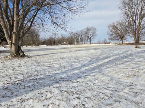 Tiny photo for Rochelle, IL 61068 (MLS # 12520046)